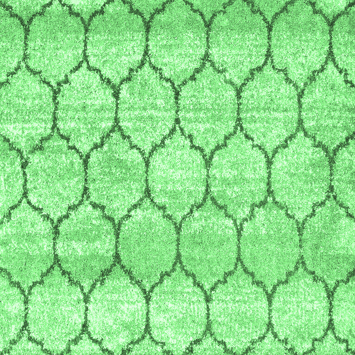 Trellis Emerald Green Modern Area Rugs, wshcon3059emgrn