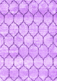 Trellis Purple Modern Rug, con3059pur