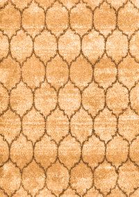 Trellis Orange Modern Rug, con3059org