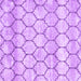 Square Trellis Purple Modern Rug, con3059pur