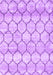 Trellis Purple Modern Area Rugs, wshcon3059pur