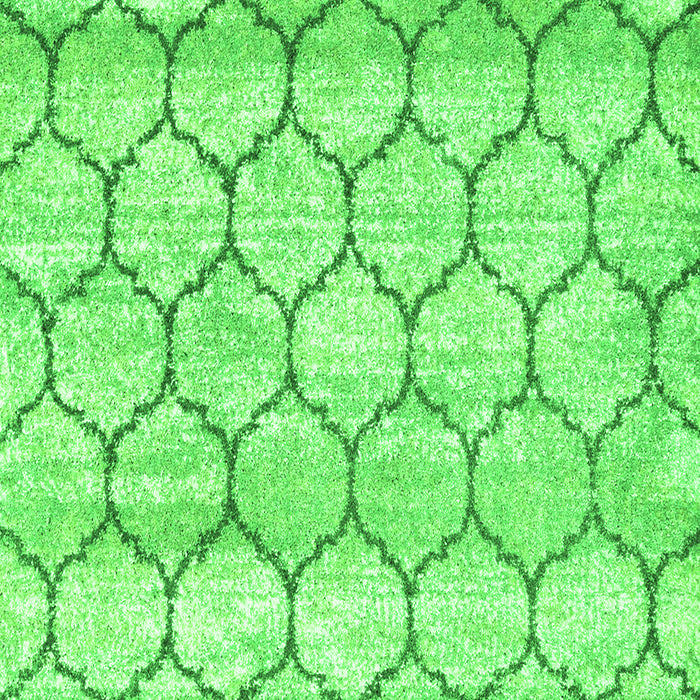 Trellis Green Modern Rug, con3059grn