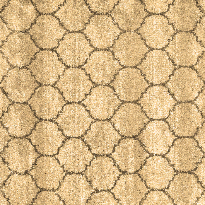 Square Trellis Brown Modern Rug, wshcon3059brn