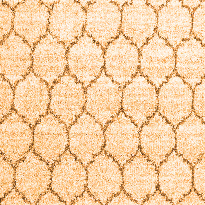 Serging Thickness of Machine Washable Terrilis Orange Contemporary Area Rugs, wshcon3060org