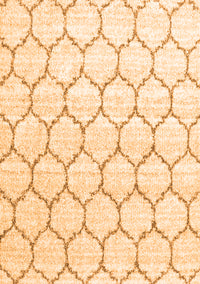 Terrilis Orange Contemporary Rug, con3060org