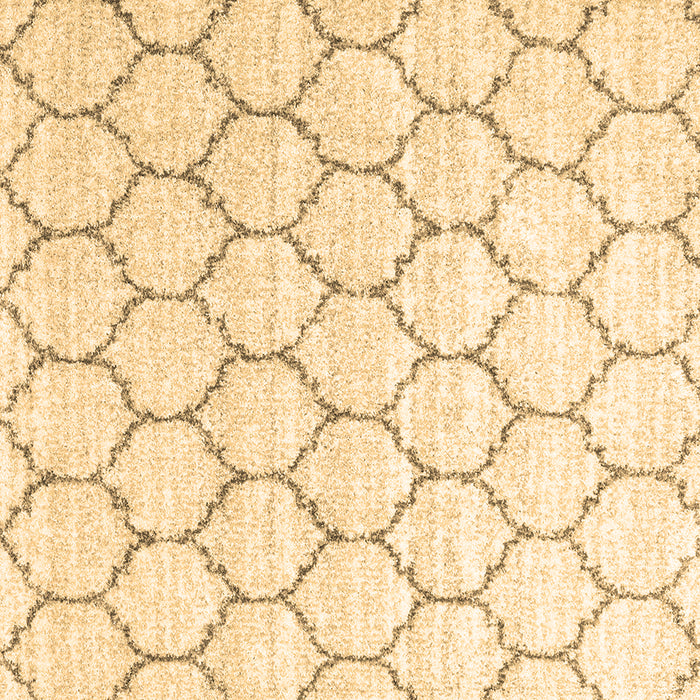 Square Machine Washable Terrilis Brown Contemporary Rug, wshcon3060brn