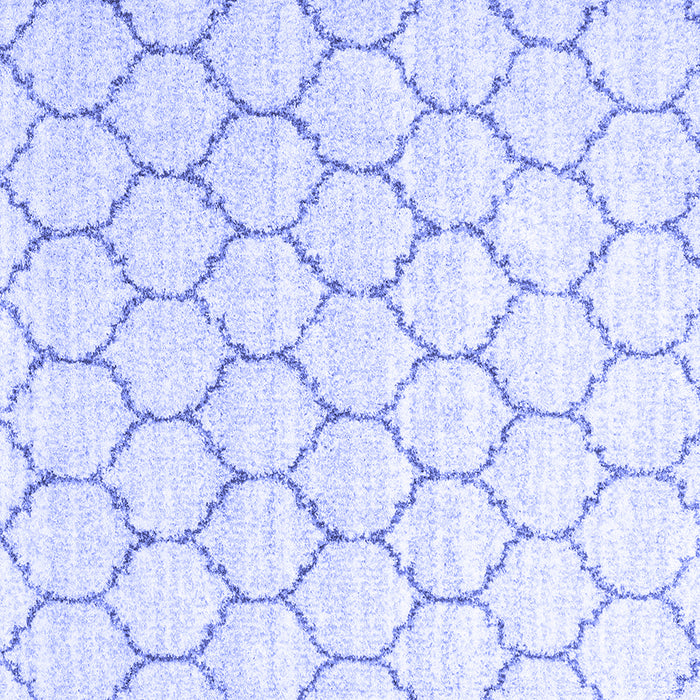 Square Machine Washable Terrilis Blue Contemporary Rug, wshcon3060blu