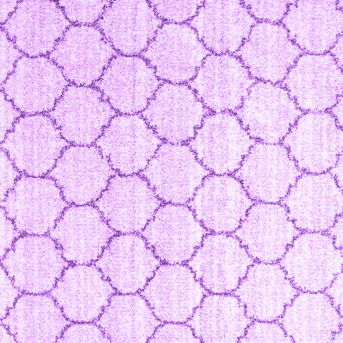 Square Machine Washable Terrilis Purple Contemporary Area Rugs, wshcon3060pur