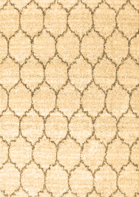 Terrilis Brown Contemporary Rug, con3060brn