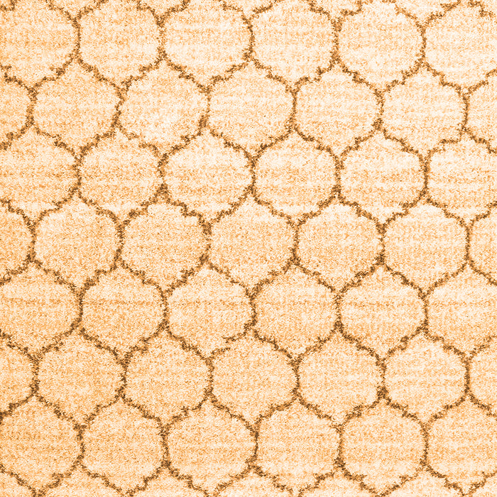 Serging Thickness of Terrilis Orange Contemporary Rug, con3060org