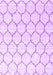 Machine Washable Terrilis Purple Contemporary Area Rugs, wshcon3060pur