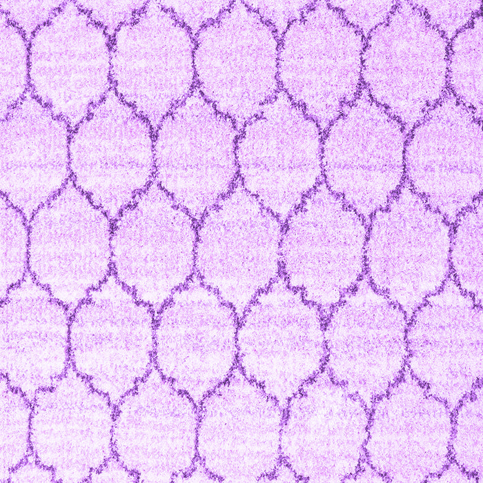 Machine Washable Terrilis Purple Contemporary Area Rugs, wshcon3060pur