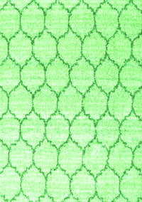 Terrilis Green Contemporary Rug, con3060grn