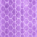 Square Machine Washable CON3062X Purple CON3062X Area Rugs, wshcon3062pur