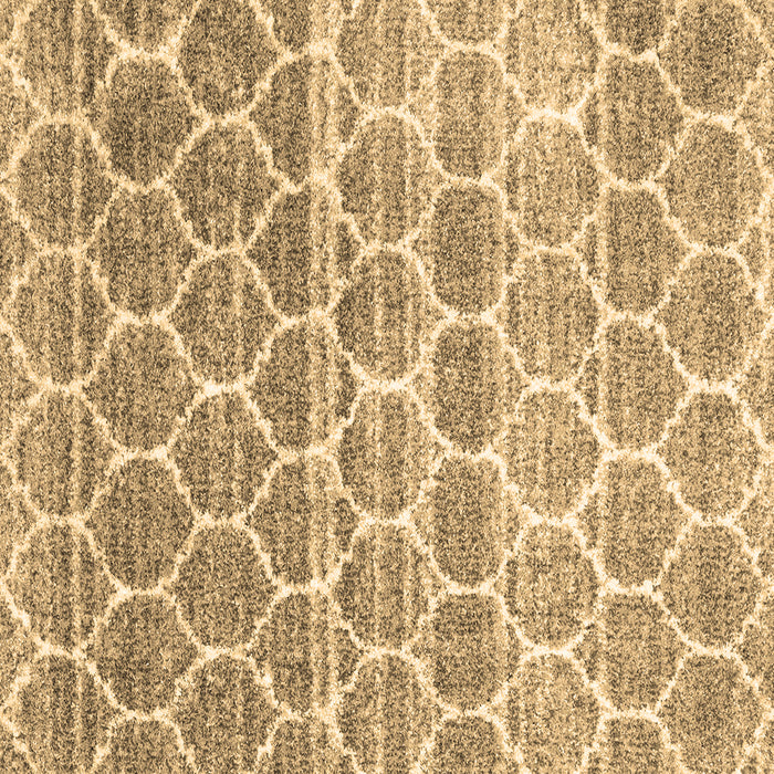 Square Machine Washable CON3062X Brown CON3062X Rug, wshcon3062brn