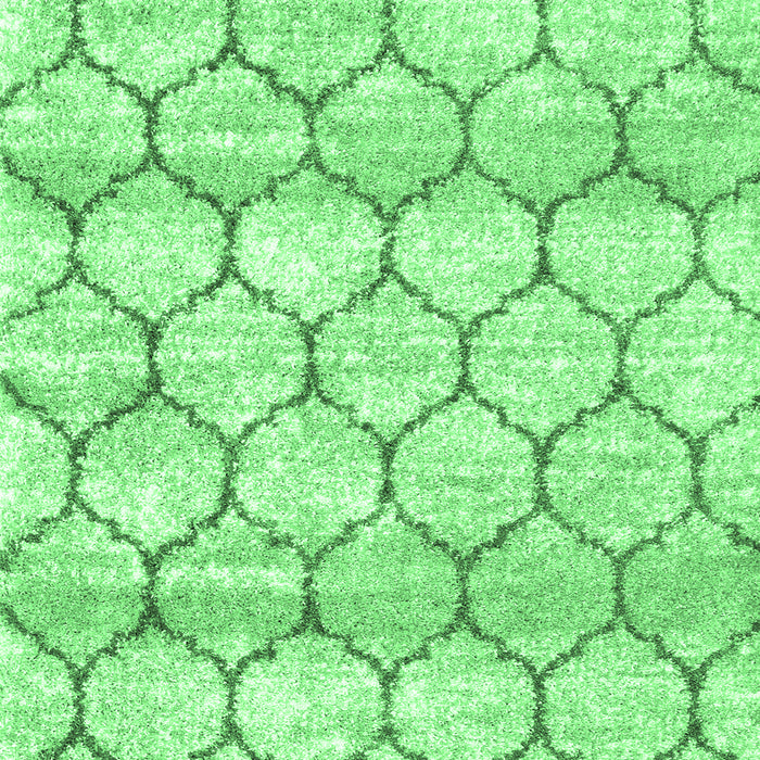 Trellis Emerald Green Modern Area Rugs, wshcon3065emgrn