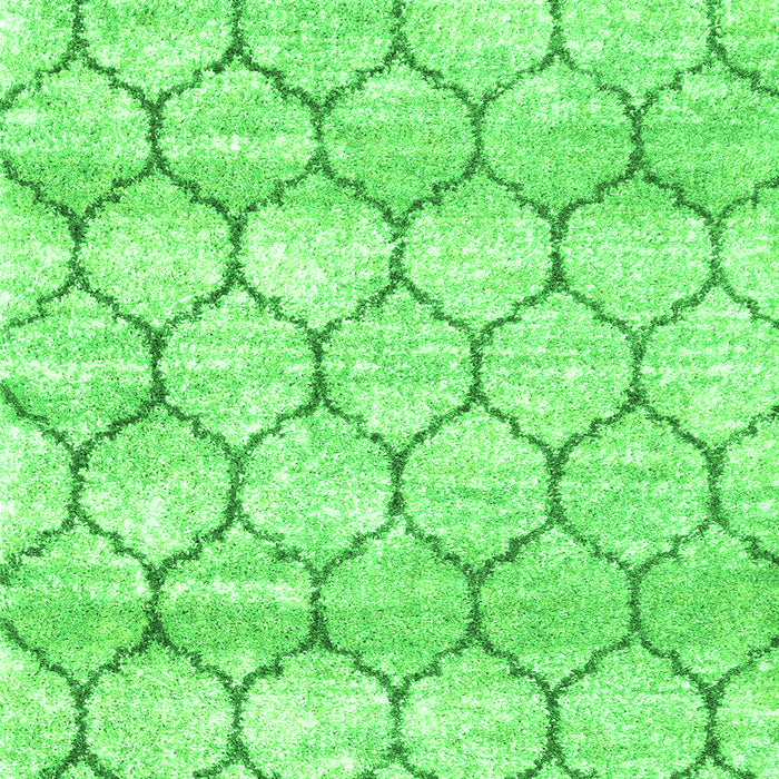 Serging Thickness of Trellis Green Modern Area Rugs, wshcon3065grn
