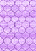 Trellis Purple Modern Area Rugs, wshcon3065pur