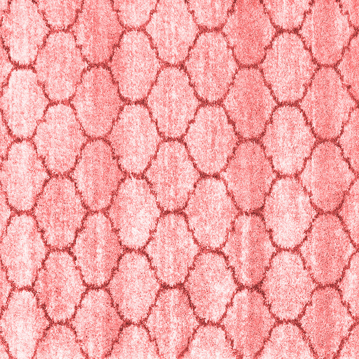 Trellis Red Modern Rug, wshcon3065red