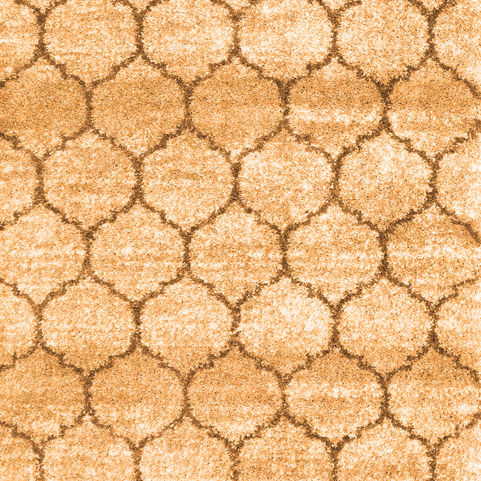 Serging Thickness of Trellis Orange Modern Area Rugs, wshcon3065org