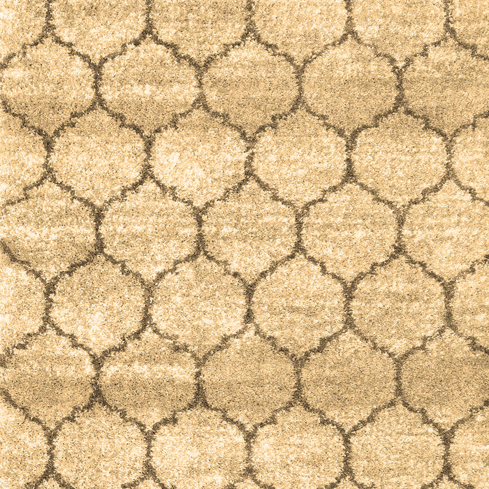 Trellis Brown Modern Rug, wshcon3065brn