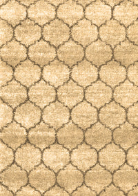 Trellis Brown Modern Rug, con3065brn