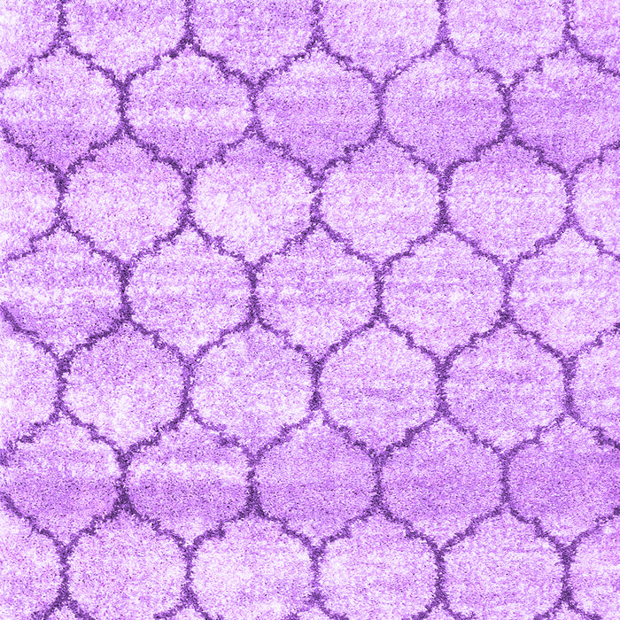 Trellis Purple Modern Rug, con3065pur
