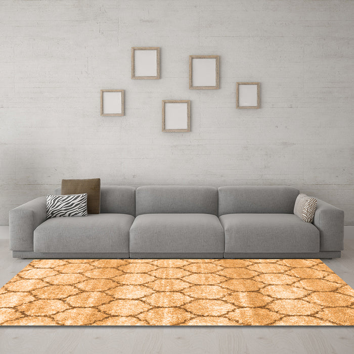 Trellis Orange Modern Area Rugs in a Living Room, wshcon3065org