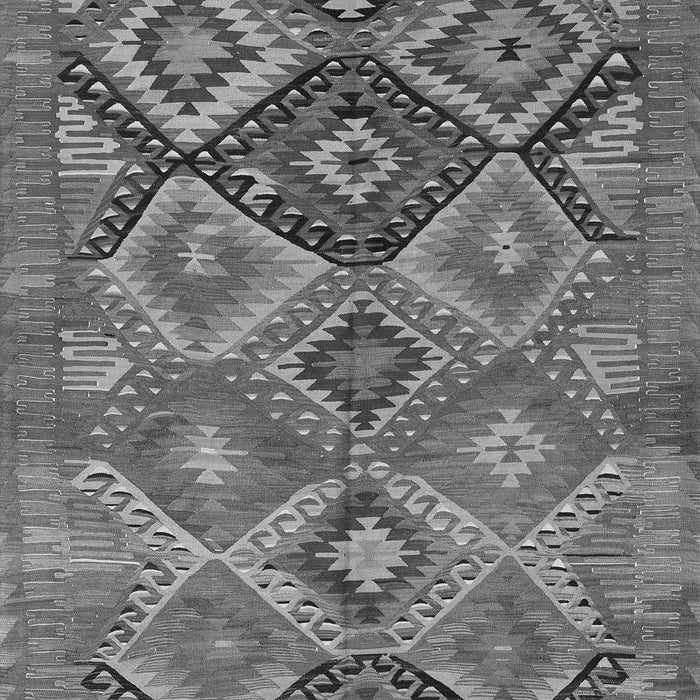 Oriental Gray Traditional Rug, con3073gry