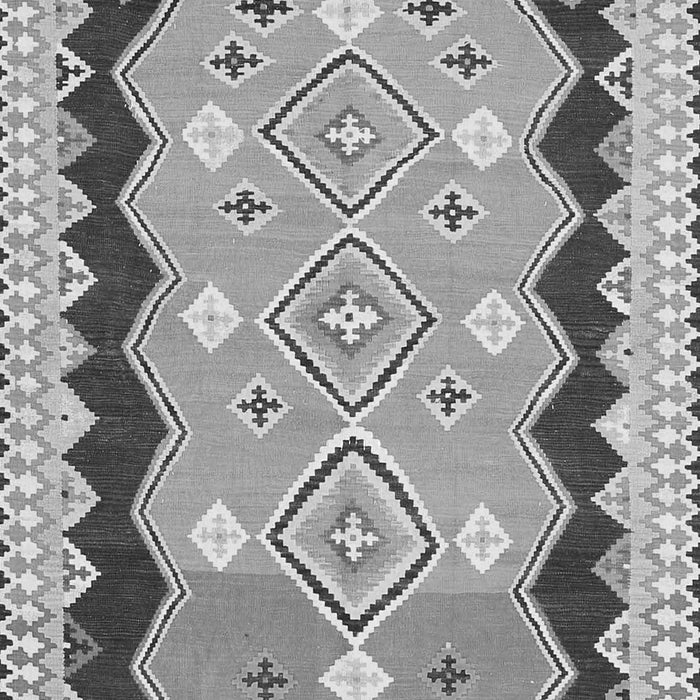 Oriental Gray Traditional Rug, con3082gry