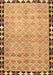 Southwestern Brown Country Rug, con308brn