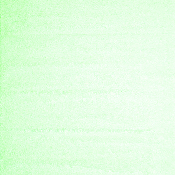 Solid Green Modern Rug, con414grn