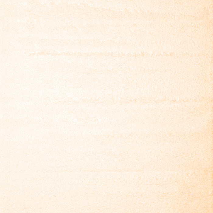 Solid Orange Modern Rug, con414org