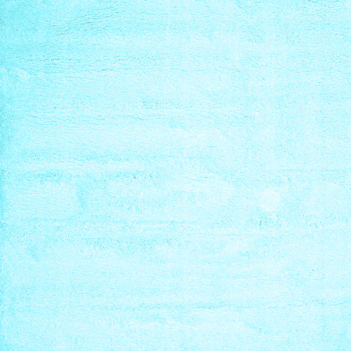 Solid Light Blue Modern Rug, con417lblu