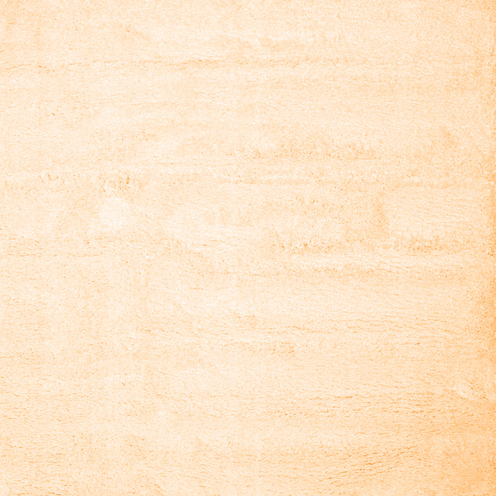 Solid Orange Modern Rug, con417org