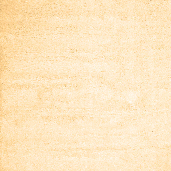 Machine Washable Solid Brown Modern Rug, wshcon417brn