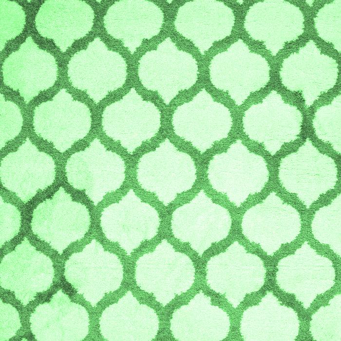 Terrilis Emerald Green Contemporary Rug, con419emgrn