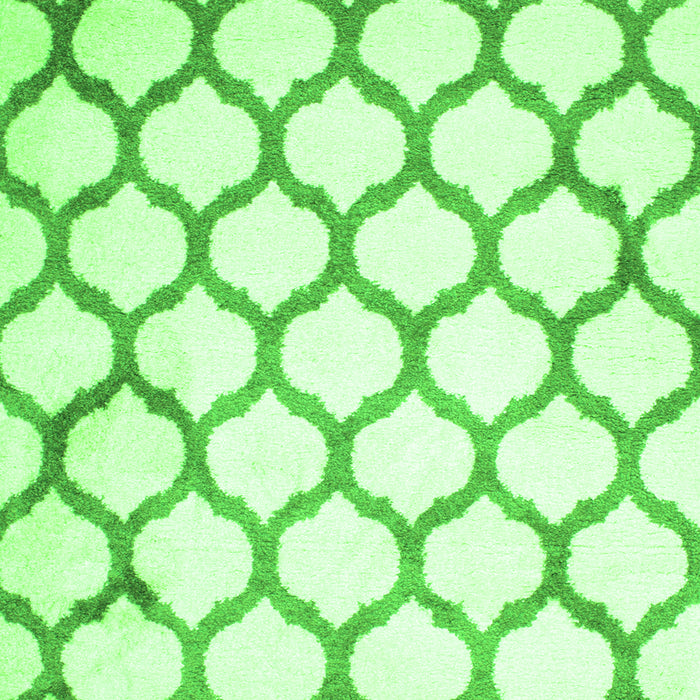 Terrilis Green Contemporary Rug, con419grn