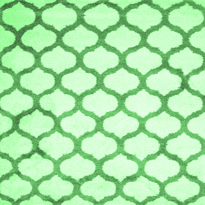 Square Terrilis Emerald Green Contemporary Rug, con419emgrn