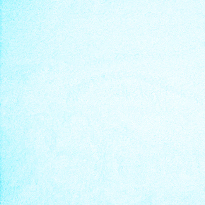 Solid Light Blue Modern Rug, con422lblu