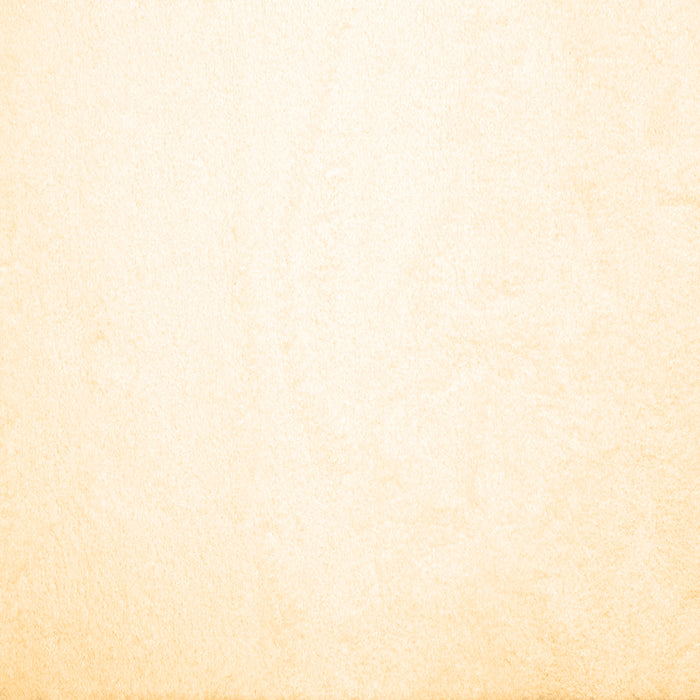 Square Solid Brown Modern Rug, con422brn