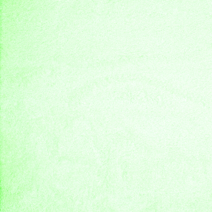 Solid Green Modern Rug, con422grn