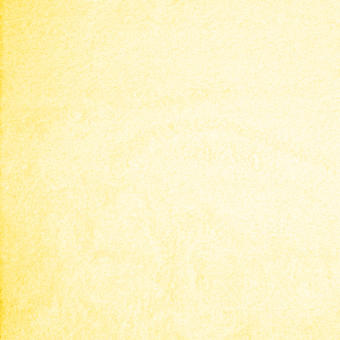 Solid Yellow Modern Rug, con422yw