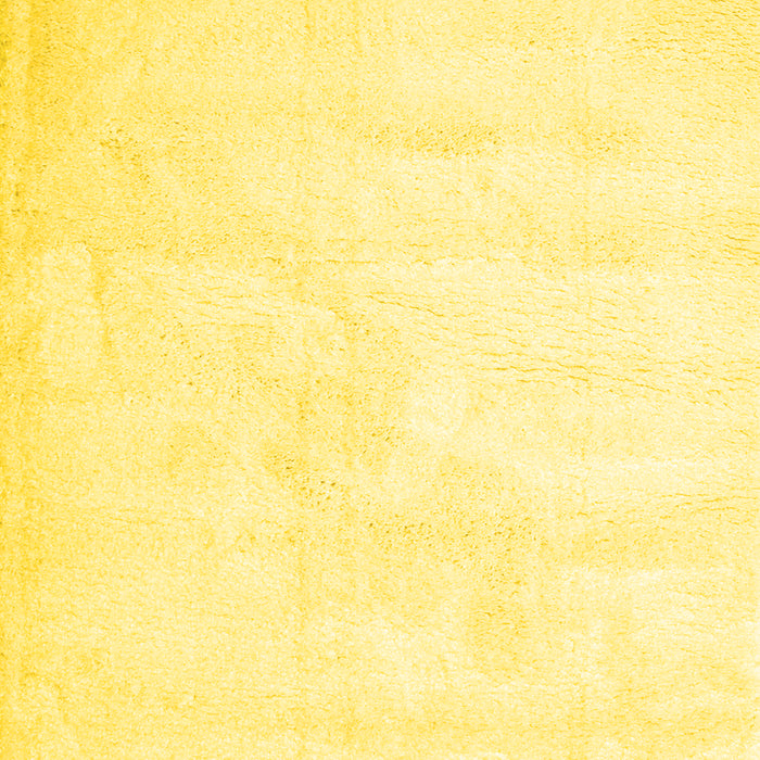 Solid Yellow Modern Rug, con424yw