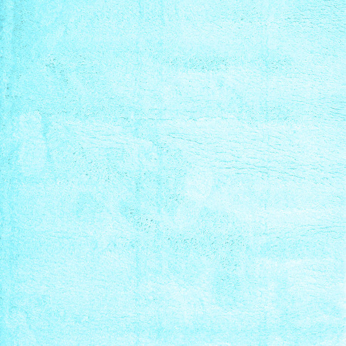 Solid Light Blue Modern Rug, con424lblu