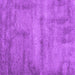 Square Abstract Purple Contemporary Rug, con425pur