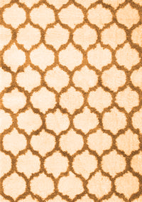 Terrilis Orange Contemporary Rug, con430org