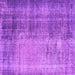 Square Persian Purple Bohemian Rug, con458pur