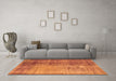 Machine Washable Persian Orange Bohemian Area Rugs in a Living Room, wshcon458org