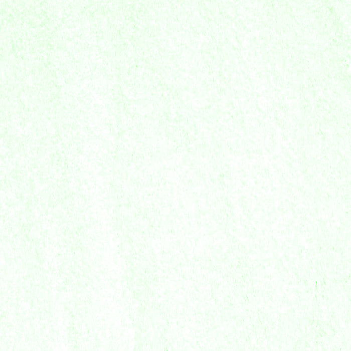 Serging Thickness of Machine Washable Solid Green Modern Area Rugs, wshcon464grn